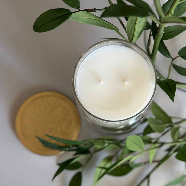 Spiced Honey + Tonka Candle (Limited Holiday Collection)